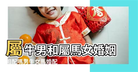 牛女馬男|男牛女马在一起的后果 属马女嫁给属牛男会怎样【婚礼纪】